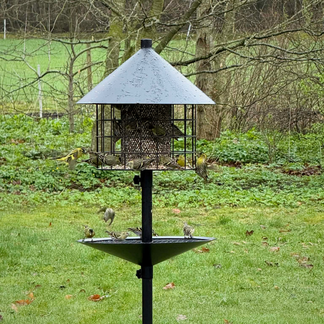 Rattensicheres Vogelhaus