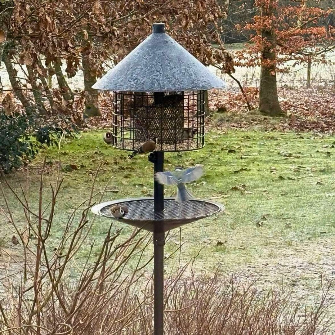 Rattensicheres Vogelhaus