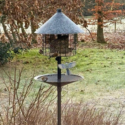 Rattensicheres Vogelhaus