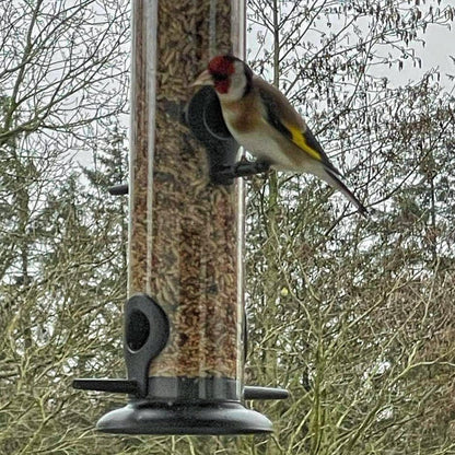 Vogelfutterspender für Samen und Samenmischungen - hoch