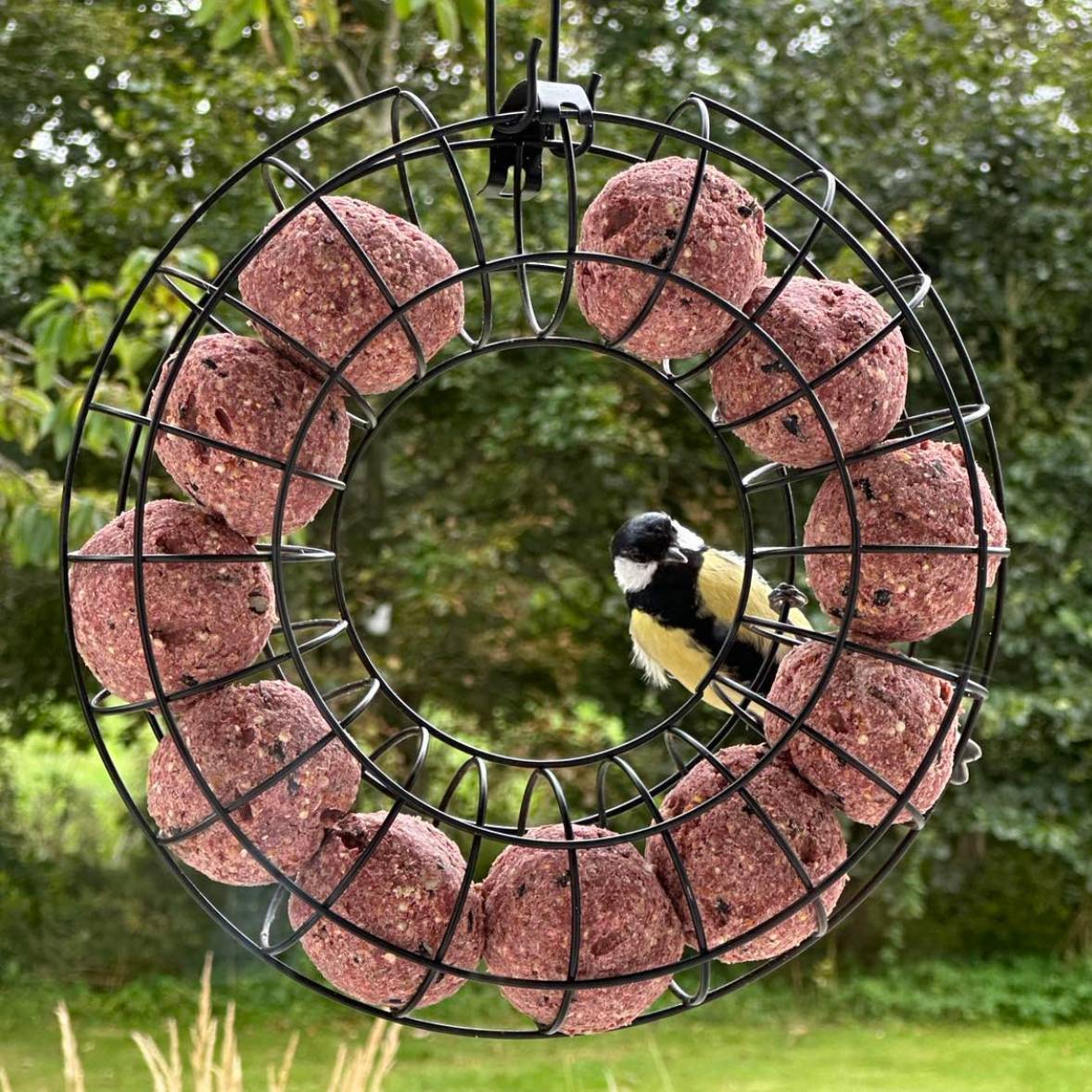Vogelfutterring für Meisenknödel - schwarzes Metall