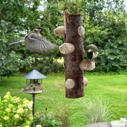 Flaschennasen-Talgrollen mit Fliegenmaden