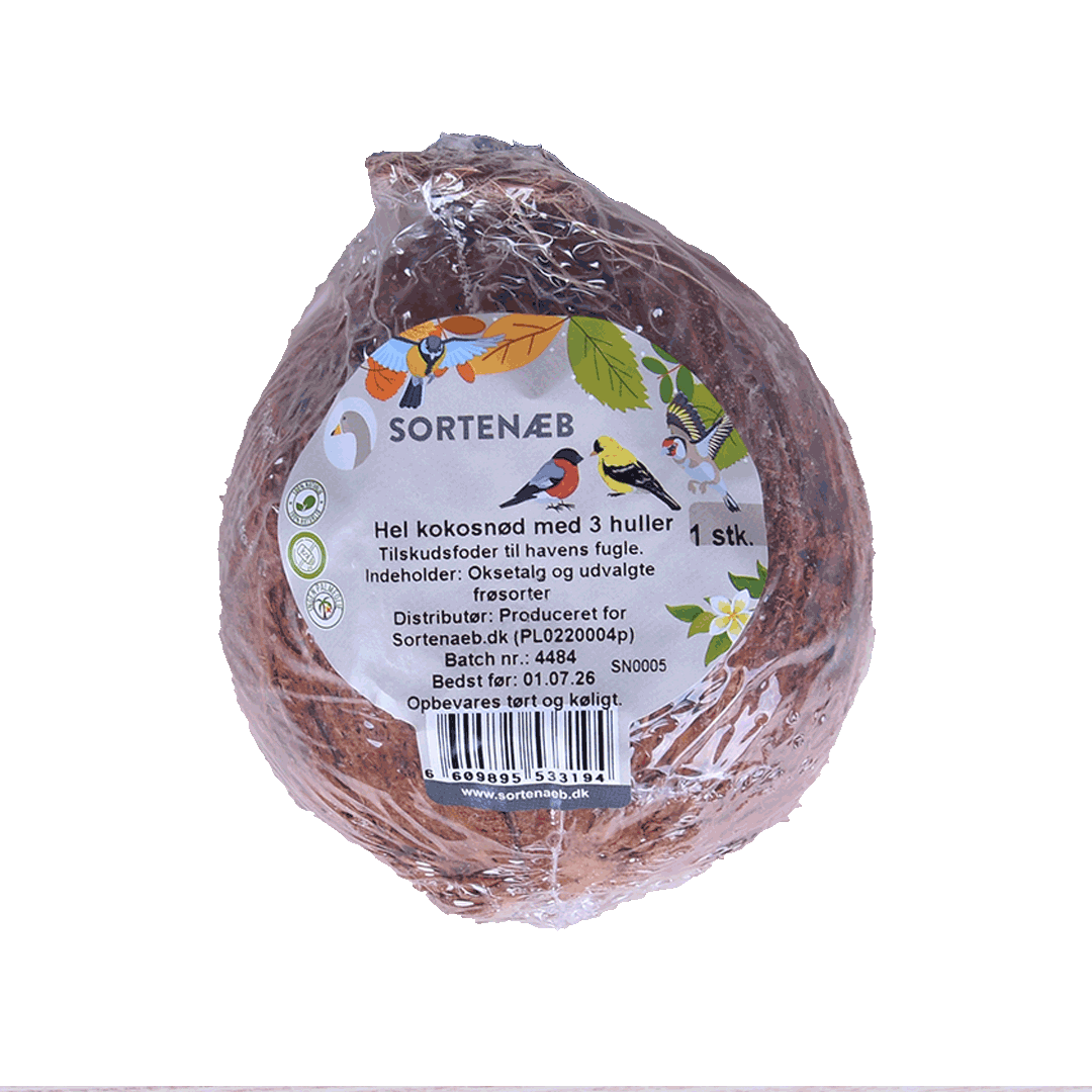 Kokosnuss ganz mit 3 Löchern 350 g
