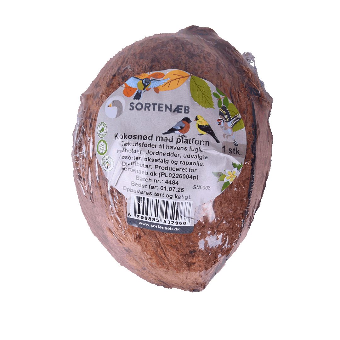 Kokosnussschale mit Plattform – gut für Vögel zum Sitzen