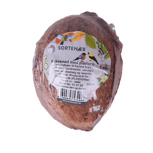 Kokosnussschale mit Plattform – gut für Vögel zum Sitzen