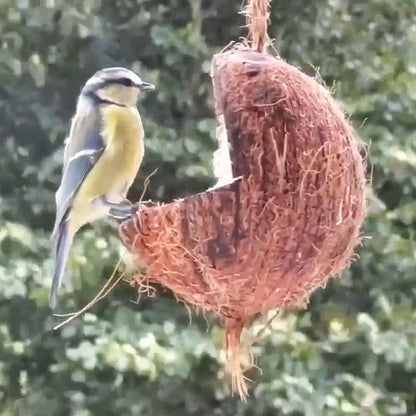 Kokosnussschale mit Plattform – gut für Vögel zum Sitzen